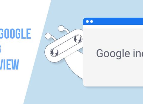 What is Google Indexing
