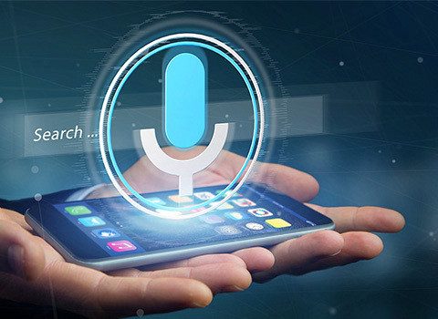 voice search